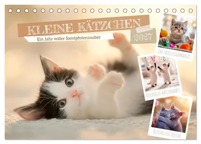 Produktbild von Kleine Kätzchen - Ein Jahr voller Samtpfotenzauber (Tischkalender 2027 DIN A5 quer), CALVENDO Monatskalender