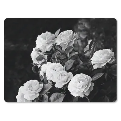 Produktbild von MuchoWow® Mauspad Mousepad Blumen - Schwarz und Weiß - Natur - Pflanzen - Rosen 23x19 cm - Mousepads - Maus Mat - Pad - Mausunterlage - Schreibtischunterlage - Mauspad
