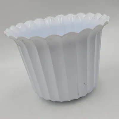 Zdjęcie produktu dla osłonka muszelka 9 cm biała - 20 szt