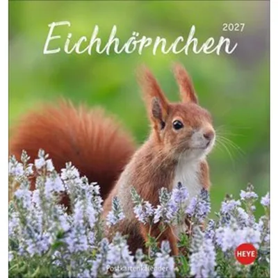 Produktbild von Eichhörnchen Postkartenkalender 2027