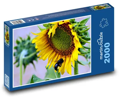 Produktbild von Puzzle 2000 Sonnenblume und Hummel - martinpuzzle