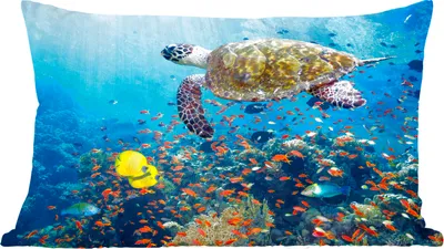 Produktbild von MuchoWow® Zierkissen Sofakissen Wohnzimmer Dekokissen 60x40 cm Schildkröte am Korallenriff - Kopfkissen - Polster mit Foto