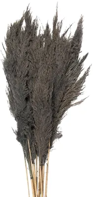 Produktbild von Getrocknete Bambusblüten von Clayre & Eef, 100 cm, grau (10)
