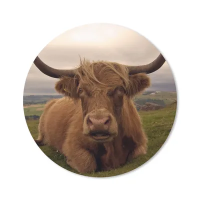 Produktbild von MuchoWow® Mauspad Mousepad Schottischer Highlander - Tiere - Berg 30x30 cm - Mousepads - Maus Mat - Pad - Mausunterlage - Tischunterlage - Schreibtischmatten