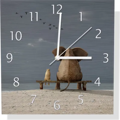 Produktbild von Wallario Design Wanduhr Elefant und Hund sitzen auf einer Bank aus Aluverbund, Größe 30 x 30 cm