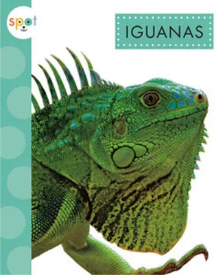Obrázok produktu pre Iguanas