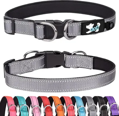 Produktbild von Gewatteerte reflektierende Halsband für Hunde - Komfortables Neopren - Verstellbar - Größe S (grau)