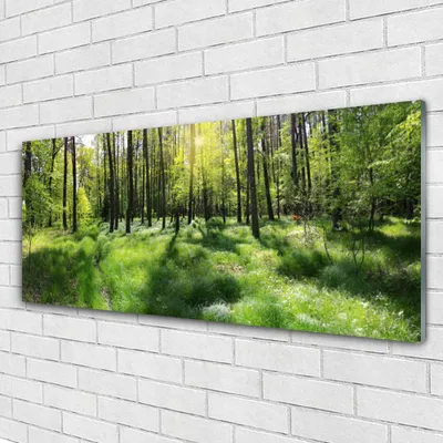 Produktbild von Acrylglasbilder 125x50 Wandbild Druck Wald Natur