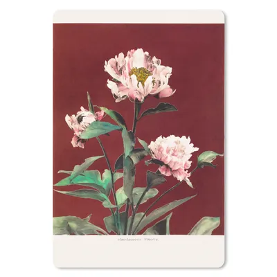 Produktbild von MuchoWow® Mauspad Mousepad Blumen - Pflanzen - Farben - Rot - Vintage 18x27 cm - Mousepads - Maus Mat - Pad - Mausunterlage