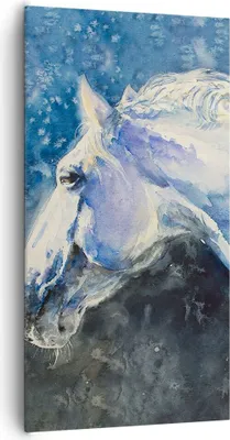 Produktbild von Bild auf Leinwand - Leinwandbild - Einteilig - Pferd Aquarell Porträt - 65x120cm - Wand Bild - Wanddeko - Wandbilder - Leinwanddruck - Bilder - Wanddekoration - Leinwand bilder - PA65x120-4272
