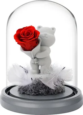 Produktbild von Geständnisbär mit konservierten Rosen in Glasglocke – Geschenk zum Valentinstag, Muttertag oder Geburtstag,red