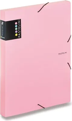 Zdjęcie produktu dla Pudełko PP z gumką A4 PASTELINI różowe