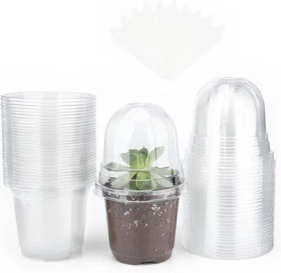Image de Lot de 32 petits pots en plastique avec couvercle - pour graines et plants - comprenant 10 têtes de plantation