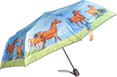 Produktbild von Regenschirm - Pferde - Ø 95 cm