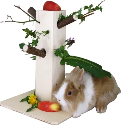 Produktbild von Elmato 10520 Knabberbaum Futterbaum Rübli Spieß Futter Zubehör Käfig, 31cm