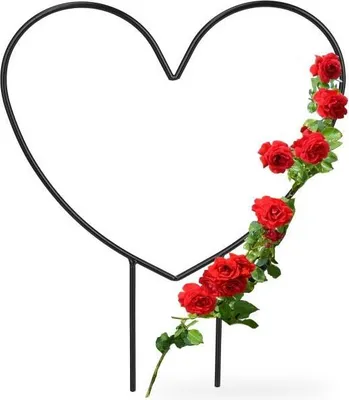 Produktbild von Rankhilfe Herzform Schwarz aus Stahl für Kletterpflanzen wie Efeu und Rosen