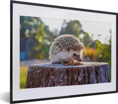 Produktbild von MuchoWow® MuchoWow® Gerahmtes Poster Essender Igel 40x30 cm - Poster mit zchwarzem Bilderrahmen - Bilderrahmen - Poster im Rahmen