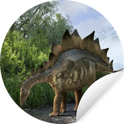 Produktbild von MuchoWow® Runde Wandtattoo - Wandsticker Tapete Aufkleber Dinosaurier - Berg - Wald - Illustration - Jungen - Kinder - Kleiner Junge Ø 100 cm Selbstklebend und Repositionierbar - Wandaufkleber - Kreis - Tapetenkreis - Wandbild rund - Schlafzimmerdekoration - Wanddeko - runde Tapete - Kunst für zu Hause