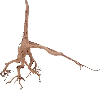 Produktbild von M Siennawurzel Nr.3242 Wurzel Holz Aquarium Deko Aquascaping