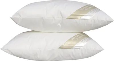 Produktbild von 2 Stück Betten Hofmann Basic Allergiker Kleinkissen 30x50 cm pflegeleicht 200 g