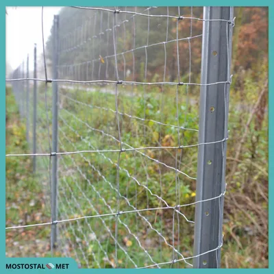 Produktbild von Zaunnetz - Knotengeflecht – 180 Cm - 25 Mb - Dicht -  Wildzaun - verzinkt Forstzaun -Wetterbeständig - Gartenzaunnetz - Wildschutznetz