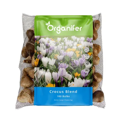Obrázek produktu pro 100 cibulek Кrokusů – směs velkokvětých (velikost XXL cibulky 8/9 cm) - Organifer