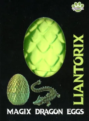 Produktbild von Drachenei "MagiX Dragon Egg LIANTORIX", grün, Drachen 22,5 cm & Ei 8 cm