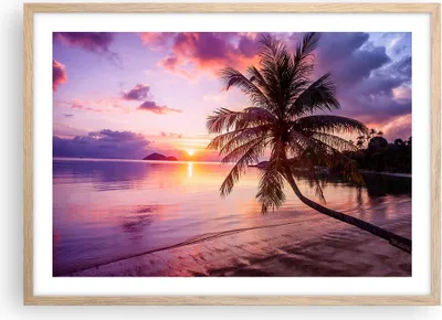Produktbild von Gerahmtes Poster - Rahmen in heller Eiche - Strand Meer Palme - 70x50 cm - Wand Bild - Wanddeko - Wandbilder - Wandposter - Bilderrahmen - Bilder - Kunstdruck - Wandbild - P2NAA70x50-3912
