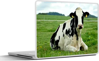 Produktbild von MuchoWow® Laptop Aufkleber Sticker Cover Kuh - Gras - Tiere - Berg 36.5x27.5 cm - Laptop-Sticker