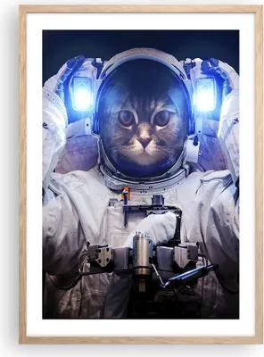 Produktbild von Gerahmtes Poster - Rahmen in heller Eiche - Kosmonaut Katze - 50x70 cm - Wand Bild - Wanddeko - Wandbilder - Kunstposter - Wandposter - Bilderrahmen - Bilder - Kunstdruck - Wandbild - P2NPA50x70-3734