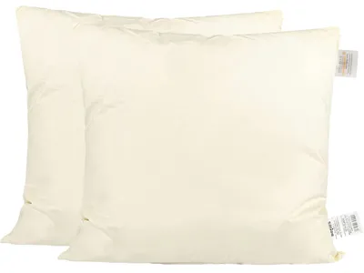 Produktbild von Daunenkissen 2er Set ca. 50x50 cm Bezug Baumwolle waschbar beties „PublikSoft“