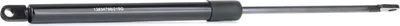 Produktbild von RIDEX 219G0661 Gasfeder Heckklappendämpfer für FIAT BARCHETTA (183) 405mm