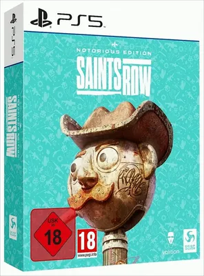 Produktbild von Saints Row Notorious Edition, Sony PS5