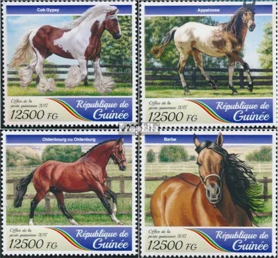 Produktbild von Briefmarken Guinea 2017 Mi 12590-12593 (kompl. Ausgabe) postfrisch Pferde