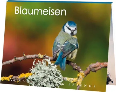 Produktbild von Postkartenbuch Blaumeisen, Postkartenbücher Ansichtskarte Postkarte Tier Vogel Vögel