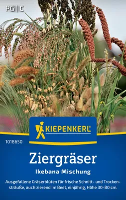 Produktbild von Kiepenkerl Ziergräsersamen Ikebana 1 - 2 m²