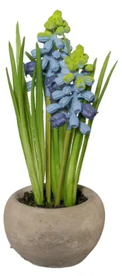 Produktbild von Kunstpflanze MUSCARI im Zementtopf. Ca 15cm. Traubenhyazinthe. Blau