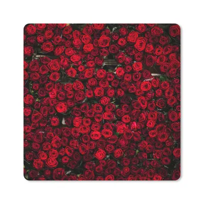 Produktbild von MuchoWow® Mauspad Mousepad Blumen - Rosen - Rot 20x20 cm - Mousepads - Maus Mat - Pad - Mausunterlage - Desk Mat - Bureauartikeln