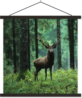 Produktbild von MuchoWow® Textilposter Hirsche - Wald - Bäume - Tiere - Natur 60x60 cm mit schwarzem Rahmen - Posteraufhänger