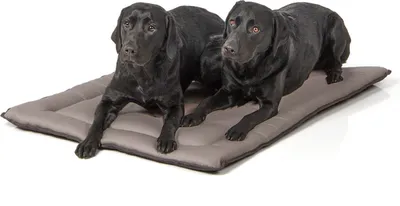 Produktbild von gepolsterte Wendedecke 110 x 80 cm, hellgrau/dunkelgrau bei 95°C waschbar für Hunde