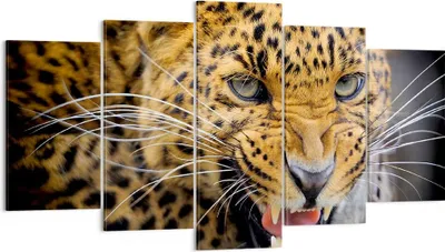 Produktbild von Bild auf Leinwand - Leinwandbild - Leopard tier savanne afrika - 160x85cm - Wand Bild - Wanddeko - Leinwanddruck - Bilder - Kunstdruck - Wanddekoration - Leinwand bilder - Wandkunst - EA160x85-2728