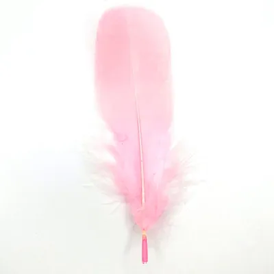 Immagine prodotto di Piume Piume d'oca, circa 15-20 cm, 10 pezzi, rosa chiaro