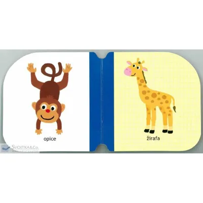 Imagen del producto de Svojtka & Co. Tiere - Kleine Entenküken