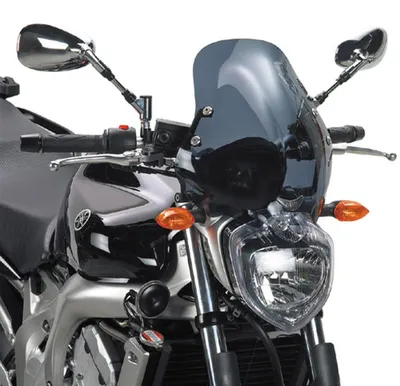 Zdjęcie produktu dla Przyciemniana szyba GIVI 35 x 36 cm do motocykla YAMAHA FZ6/FZ6 600 Fazer