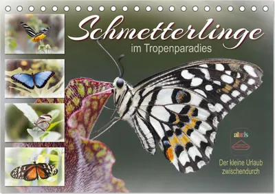 Produktbild von Schmetterlinge im Tropenparadies (Tischkalender 2025 DIN A5 quer), CALVENDO Monatskalender