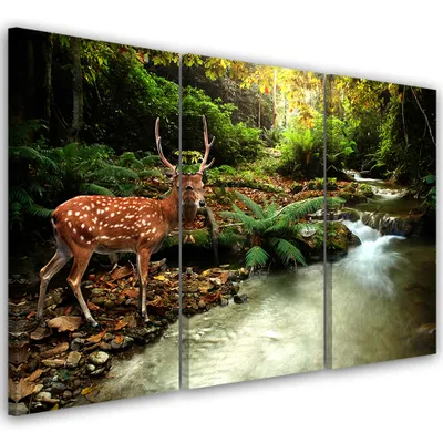 Produktbild von Triptychon auf leinwand tiere - braun 150x100 cm Feeby braun wandbild bereit zum aufhängen