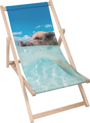 Produktbild von Dreamroots Liegestuhl klappbar Holz, Buchenholz bis zu 130 kg, Sonnenliege klappbar mit 3-stufiger Neigungsregulierung der Rückenlehne, Chilling Pig