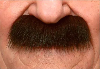 Obrázek produktu pro Mom Moustache Brown Brown One Size