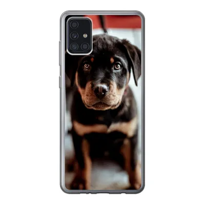 Produktbild von MuchoWow® Handyhülle Schutzhülle Hülle für Samsung Galaxy A52 5G Jung - Hund - Kamera Silikon Softcase Handy Hülle - Umschlag