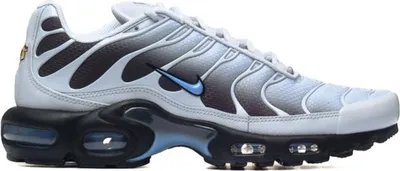 Produktbild von Schuhe Nike Air Max DM0032015